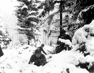 Американская пехота 290-го полка в Арденнских лесах во время Арденнской операции. ВМВ. Бельгия. Январь 1945 г..jpg