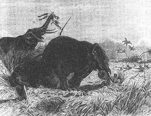 Dahomey-hunters.jpg