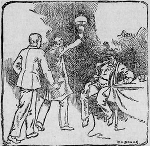 The-pittsburgh-press-1892-02-12-the-speckled-band-illus-min.jpg