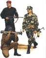 Хорватские войска в 1991.jpg