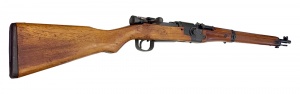 Type 2 TERA rifle.jpg