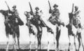 Imperial Camel Corps.jpg