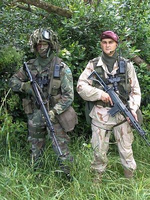 Two Argentina soldiers with FN FAL.jpg