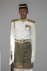 Малайзийский гвардеец.png