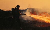 Морской пехотинец выжигает заросли в окрестностях Кхешани. 1968 г.jpg
