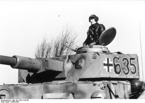 15-я танковая дивизия Верхмата.jpg