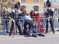 A soldier in the Grenadier Guard faints on the Vasa bridge in Stockholm during the celebrations of the kings 70th birthday. 2016.jpg