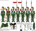 Элитная рота 5-го полка шеволежеров-улан 1815.jpeg
