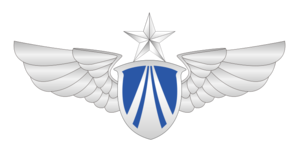 Emblem of People's Liberation Army Air Force.png