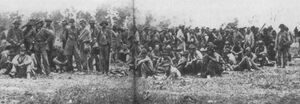 Confederate army 55.jpeg