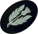 Scots-guards-removed-from-scarlet-tunic-thistle-stalk-fl--embroidered-other-ranks-collar-badge.jpg