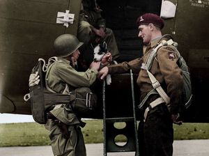 Щенок, спасенный солдатом 2-го батальона 503-й парашютно-пехотной дивизии США. ВМВ. Исландия. 1944 г..jpg