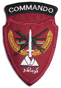 Afghan sp1.jpg