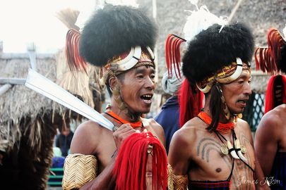 Khiamniungan Naga traditional dress dance Nagaland Hornbill Festival 2015 (65).jpg
