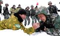 Пограничные патрули Китая и Таджикистана где-то на северо-западе Синьцзян-Уйгурского автономного района КНР..jpg